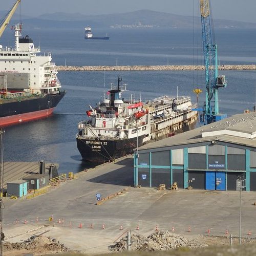 Weil Ohrmarken fehlten, durften 2900 Rinder nicht entladen werden. Nach Wochen an Bord kehrt das Schiff jetzt nach Südamerika zurück – viele Tiere sind bereits tot.