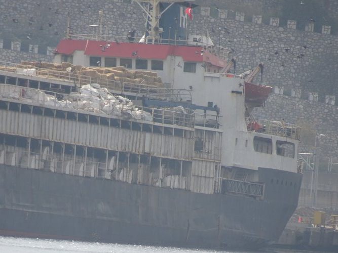 Skandal-um-Lebendtierexport-Frachter-mit-Rindern-darf-nicht-entladen-werden