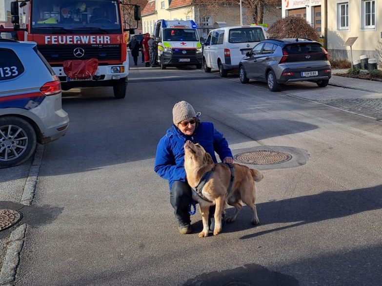 Achtj-hrige-in-N-vermisst-Hund-quot-Luxi-quot-sp-rte-M-dchen-auf