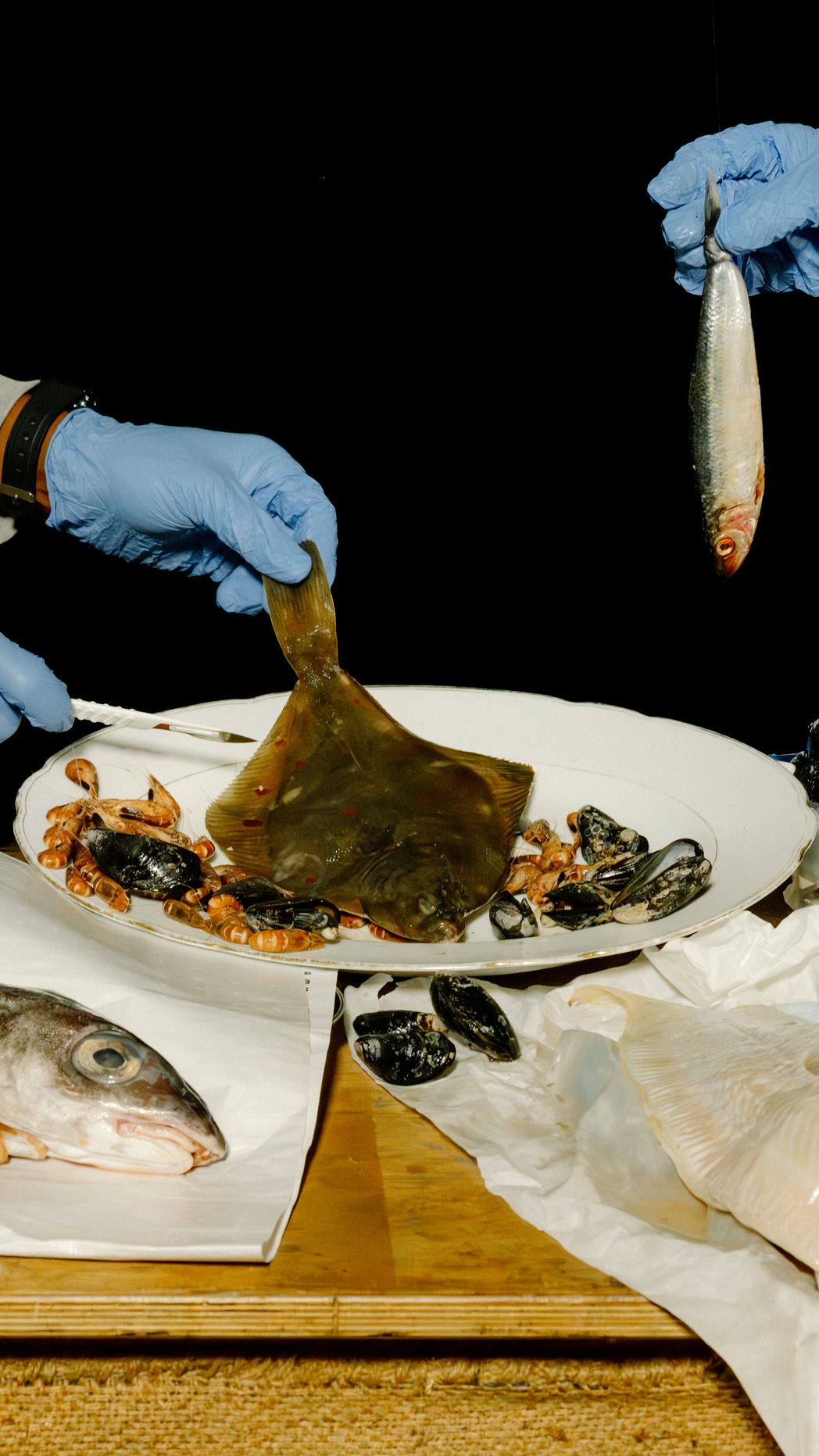 Nach dem Greenpeace-Test testen Supermärkte ihr Fischsortiment.