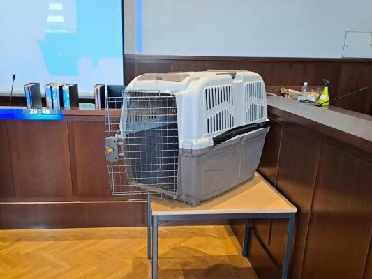 -rztliches-Gutachten-f-r-Hundebox-Zivilprozess-liegt-vor