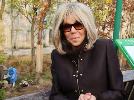 China-sagte-w-hrend-Macron-Besuch-ein-Panda-Paar-zu