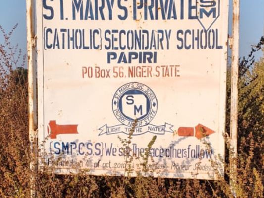 TV-100-in-Nigeria-entf-hrte-Schulkinder-wieder-frei