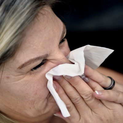 Derzeit dominiert die neue Influenza A(H3N2)K-Variante