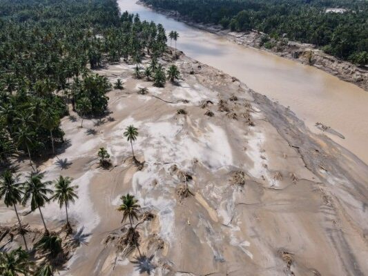 Seltene-Orang-Utans-durch-Folgen-von-Flutkatastrophe-bedroht