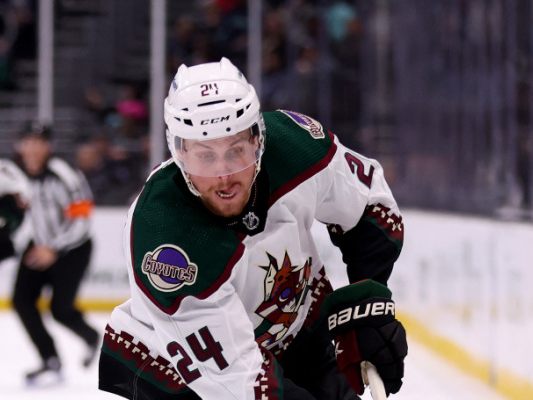 VSV-verpflichtet-Ex-NHL-Spieler-Brett-Ritchie