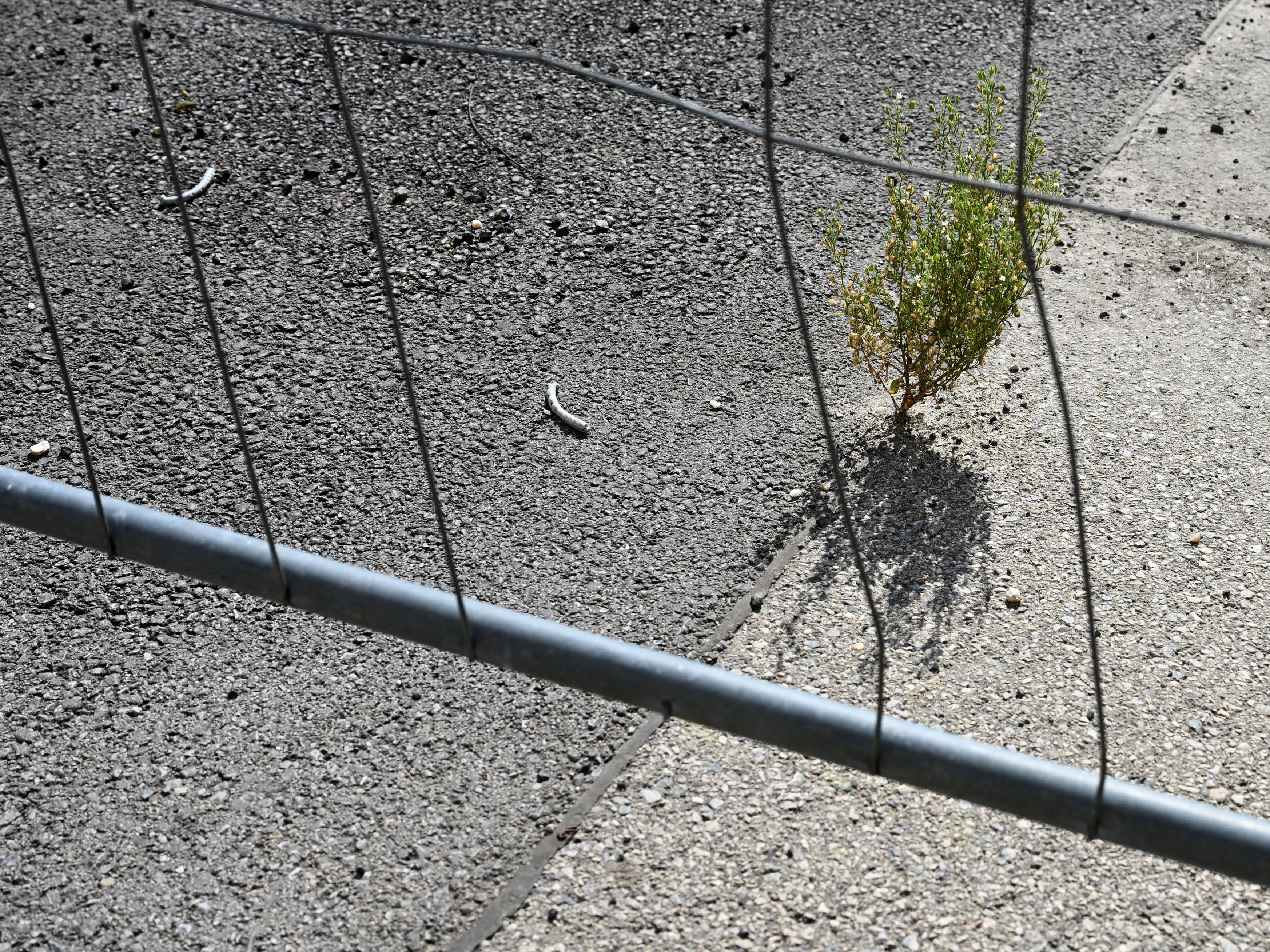 Bodenverbrauch-steigt-laut-Bericht-nicht-mehr-so-stark