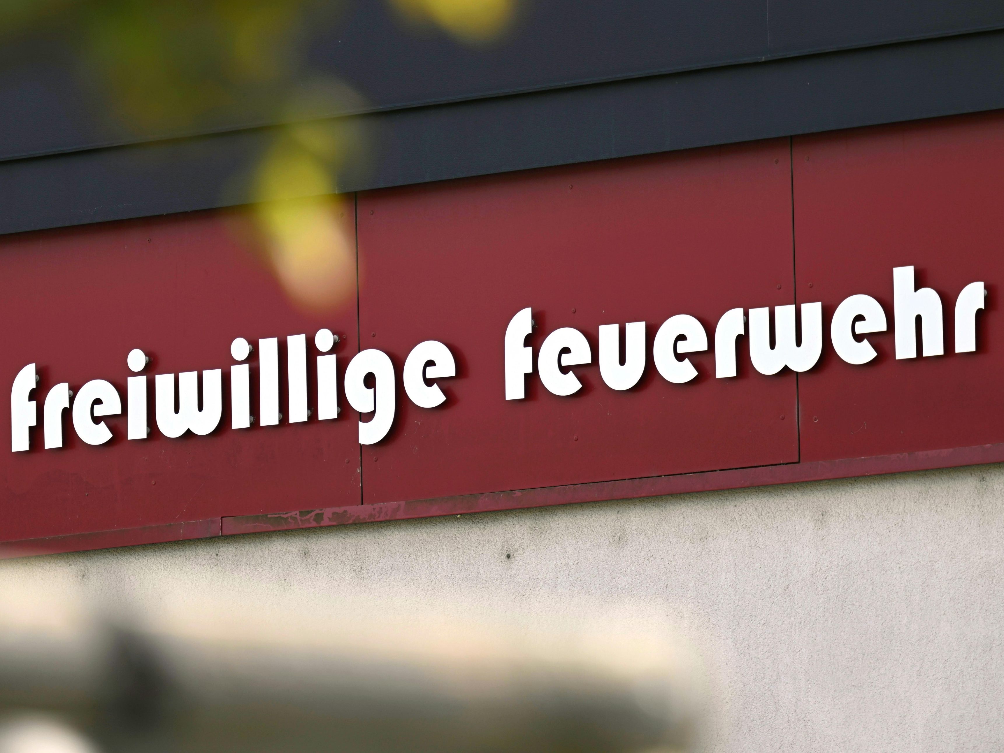 Vorarlbergs Vereinswelt wächst stark