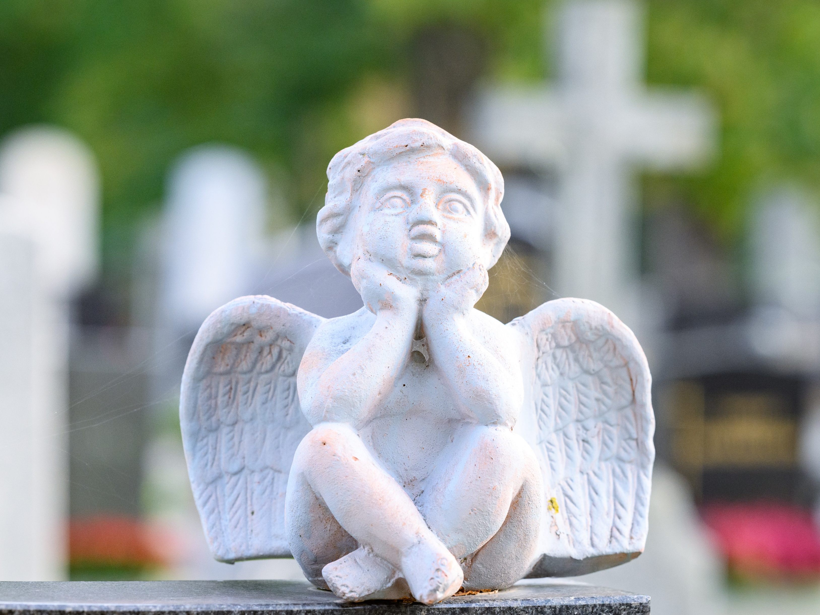 spiegelgrund-opfer-am-wiener-zentralfriedhof-beigesetzt