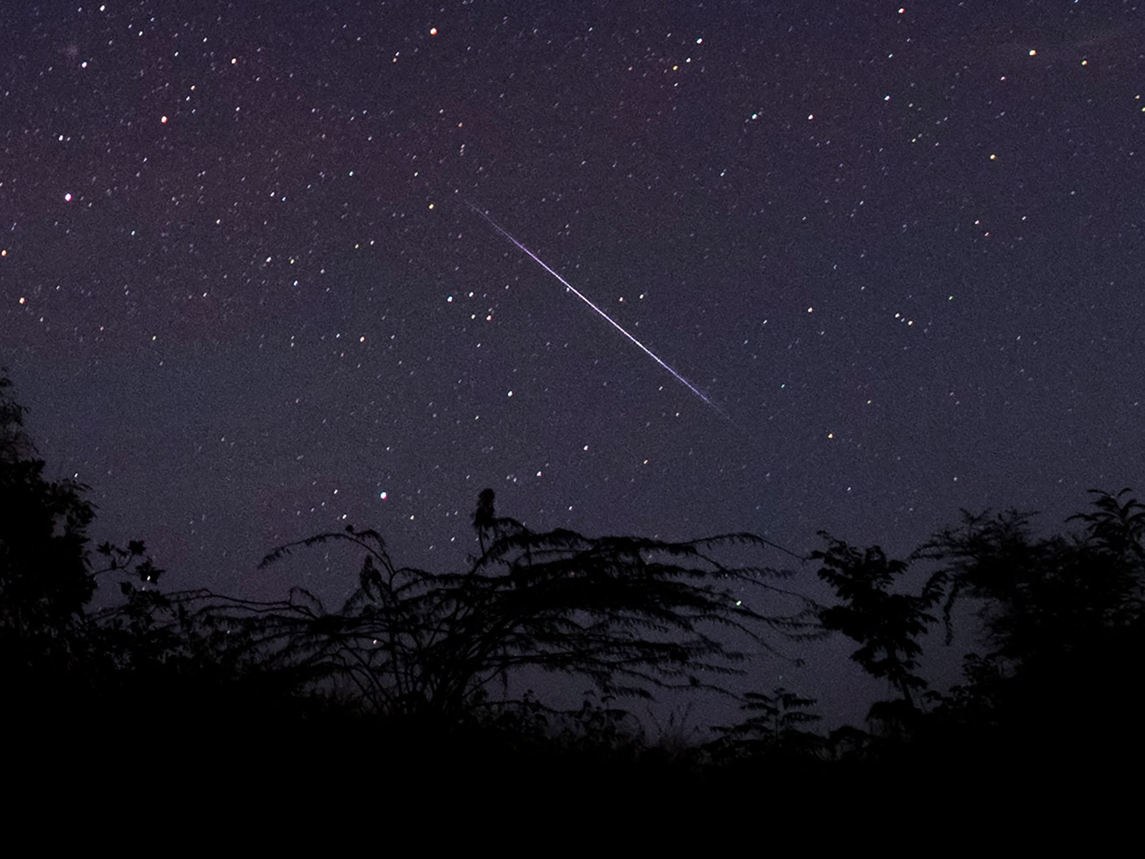 Nacht-der-W-nsche-Geminiden-bringen-spektakul-ren-Sternschnuppen-Regen