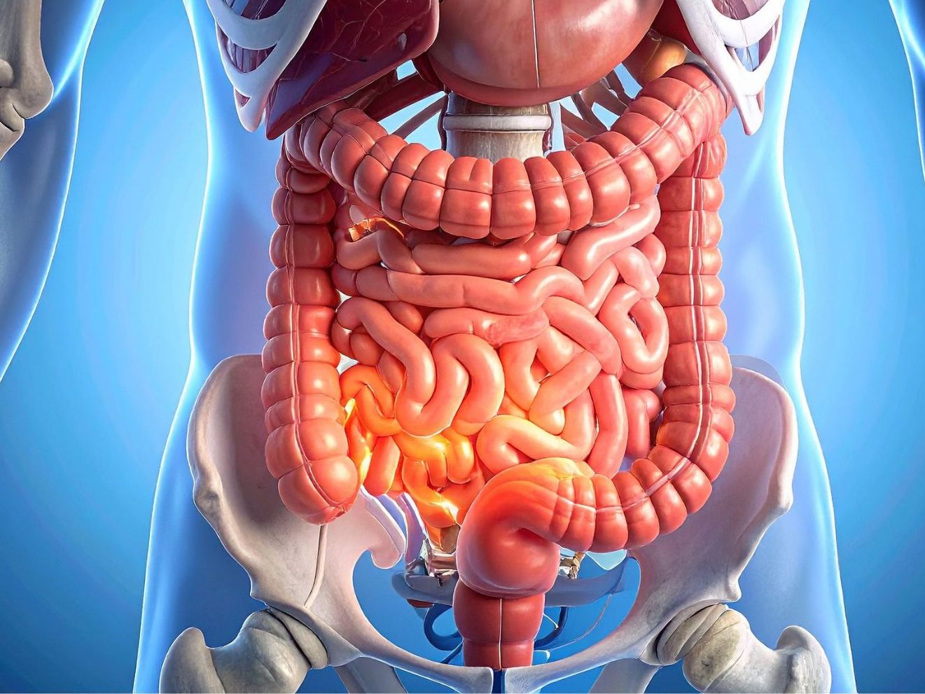 Rektale-Beatmung-bei-Menschen-getestet-Hoffnung-f-r-Krisensituationen