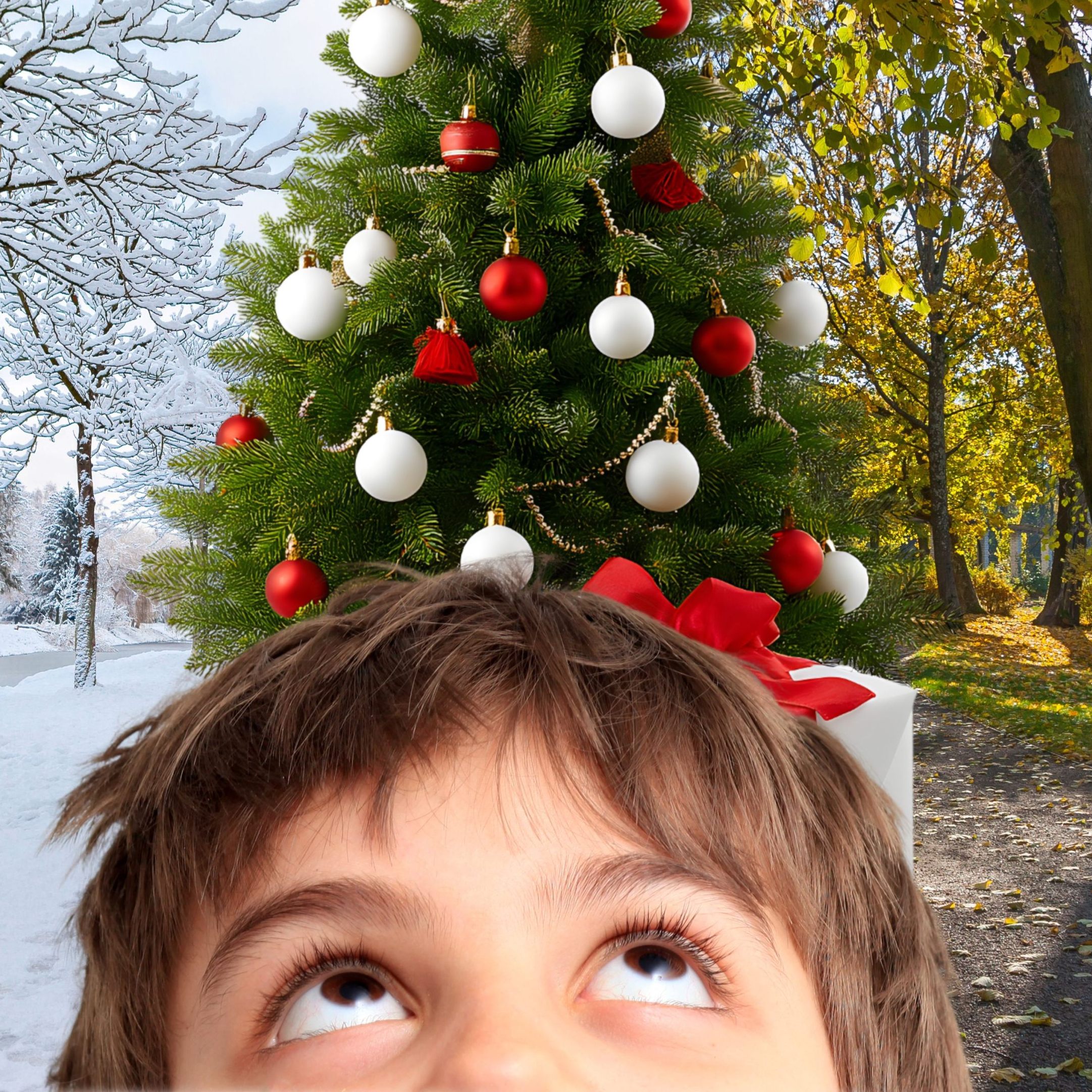 Schnee zum Fest seltener denn je