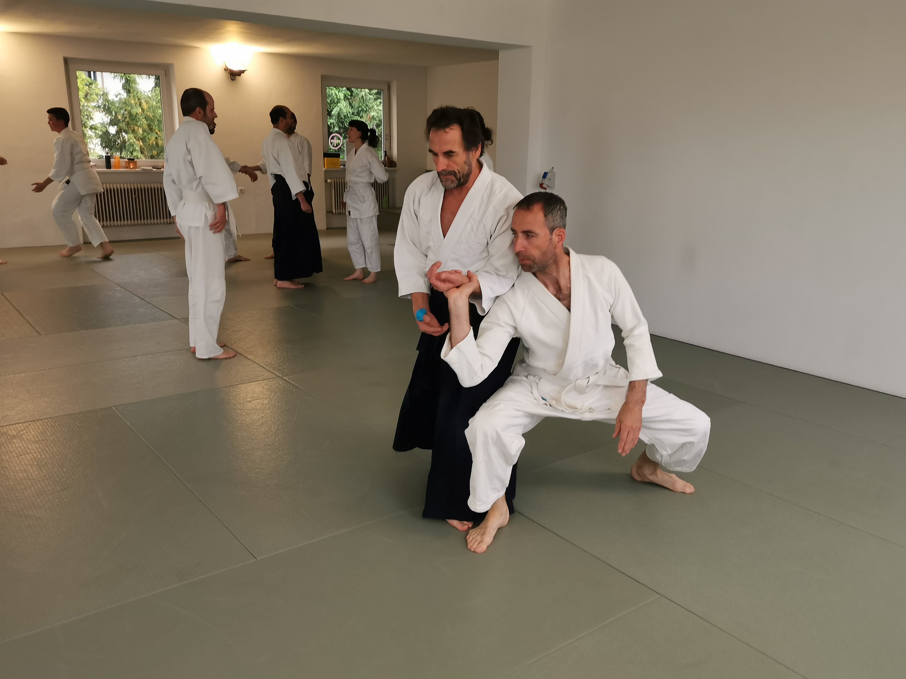 Aikido-Training