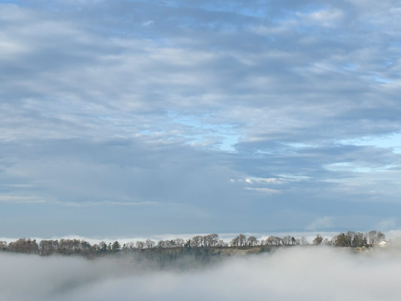 Wanderung-auf-dem-Schweizerberg