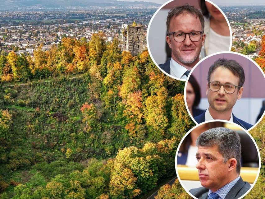 Nach-Posse-um-Jahrhundertwald-Land-schafft-jetzt-Klarheit-bei-Baumsorten