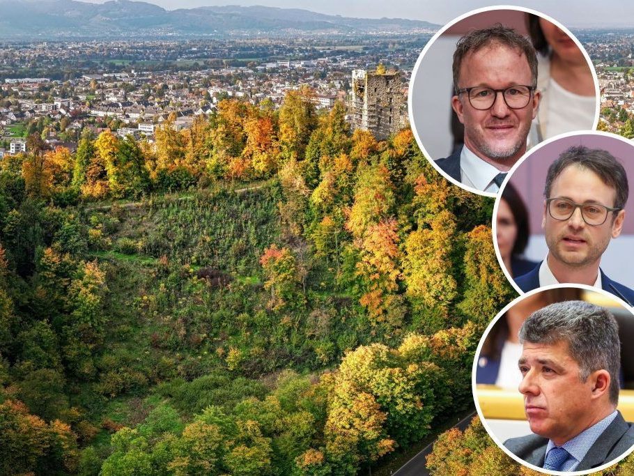 Nach-Posse-um-Jahrhundertwald-Land-schafft-jetzt-Klarheit-bei-Baumsorten