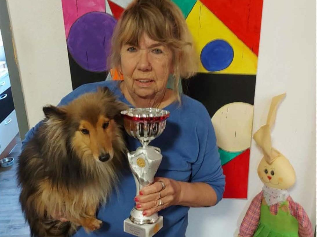 Agility-Vereinsmeisterschaft