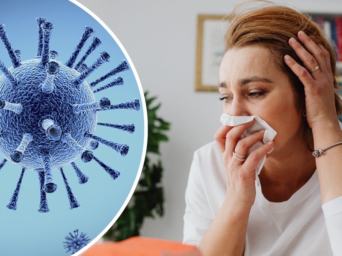 gef-hrlicher-influenza-ausbruch-was-hinter-der-quot-supergrippe-quot-steckt