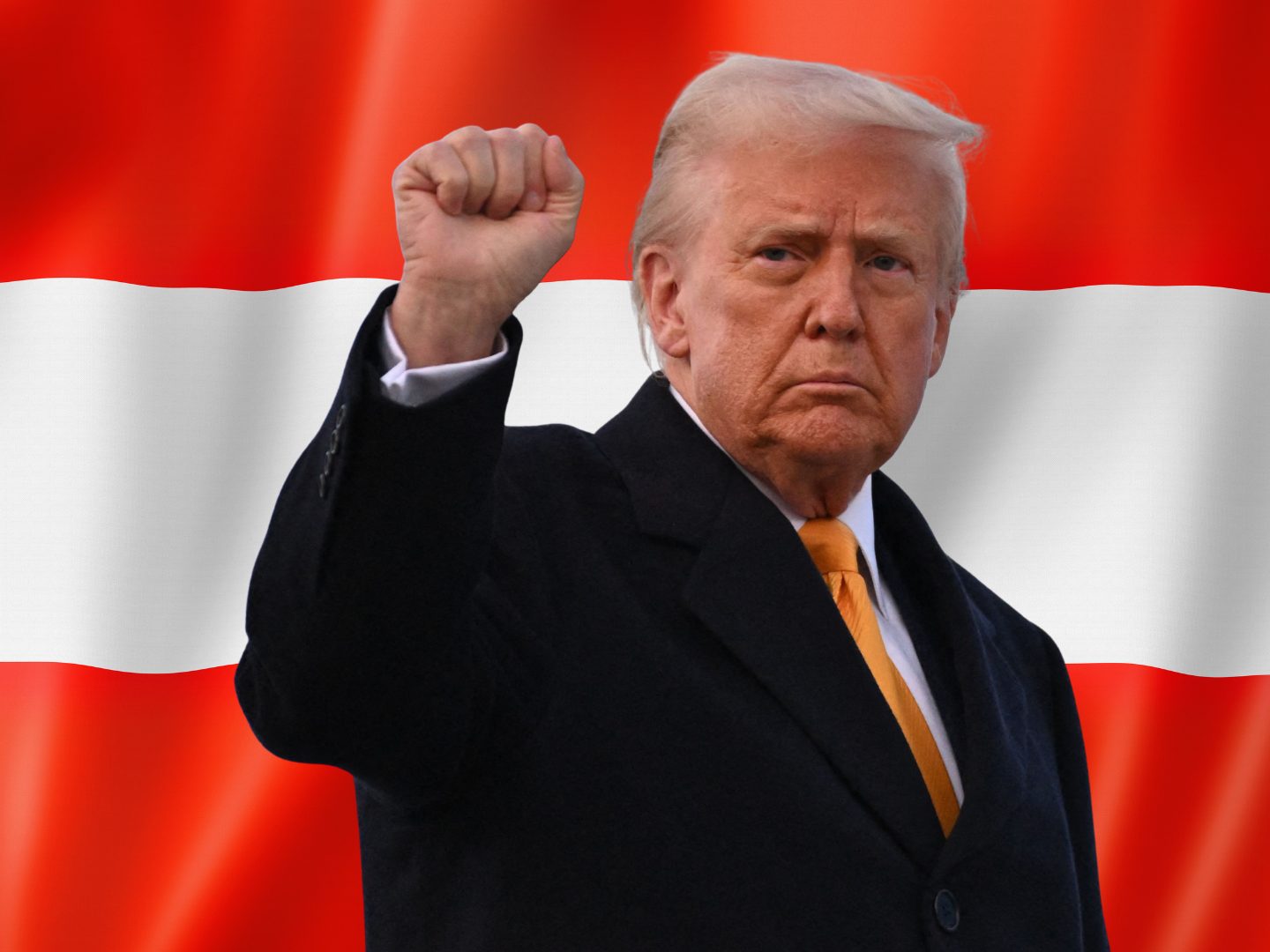 Ein geheimes US-Strategiepapier zeigt: Die Trump-Regierung wollte Österreich und drei weitere Länder aus der EU herauslösen.