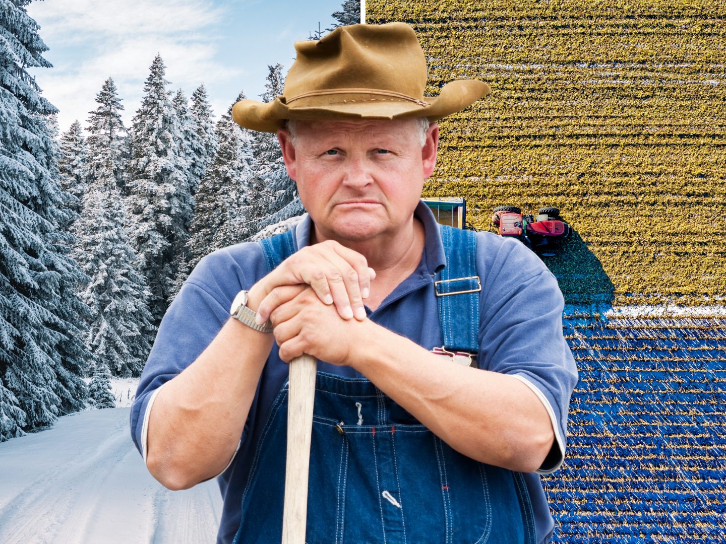 Was der Dezember laut Bauernregeln für 2026 bedeutet.