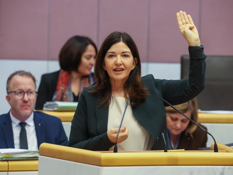 Landtag-diskutiert-zu-Gewalt-gegen-Frauen-Starkes-Zeichen-und-Unstimmigkeit-um-Nationalit-t-von-T-tern
