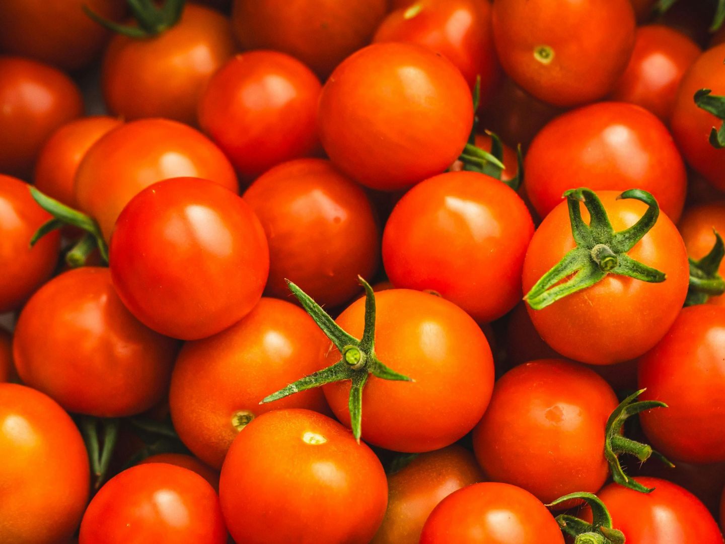 Salmonellenverdacht-Spar-ruft-Tomaten-zur-ck
