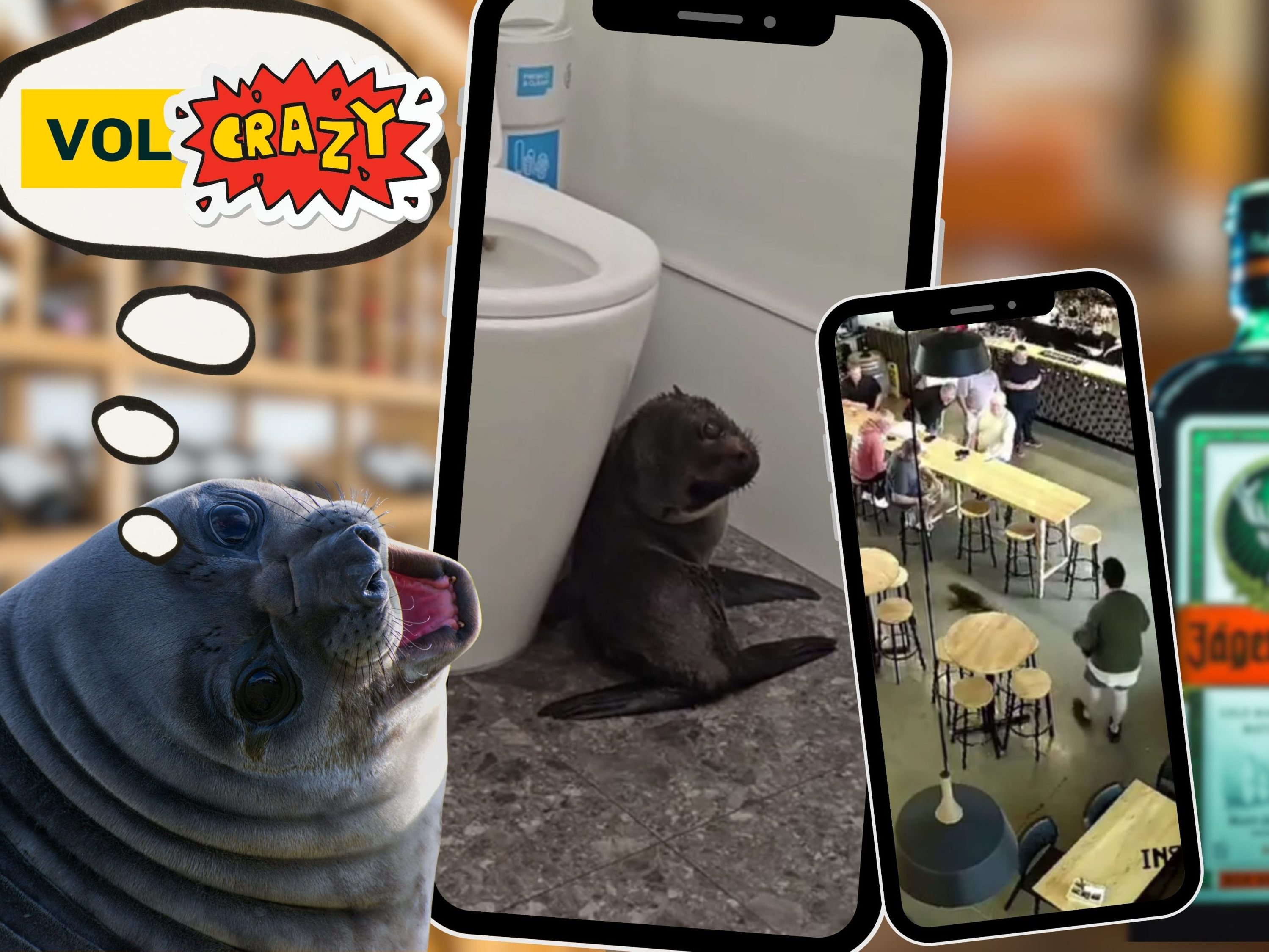 Hallo Kleiner. Hast du einen Ausweis?