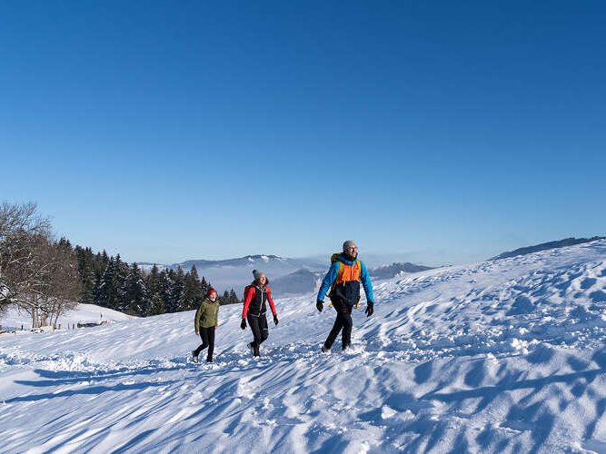 Oberstaufener-Winter-wander-programm